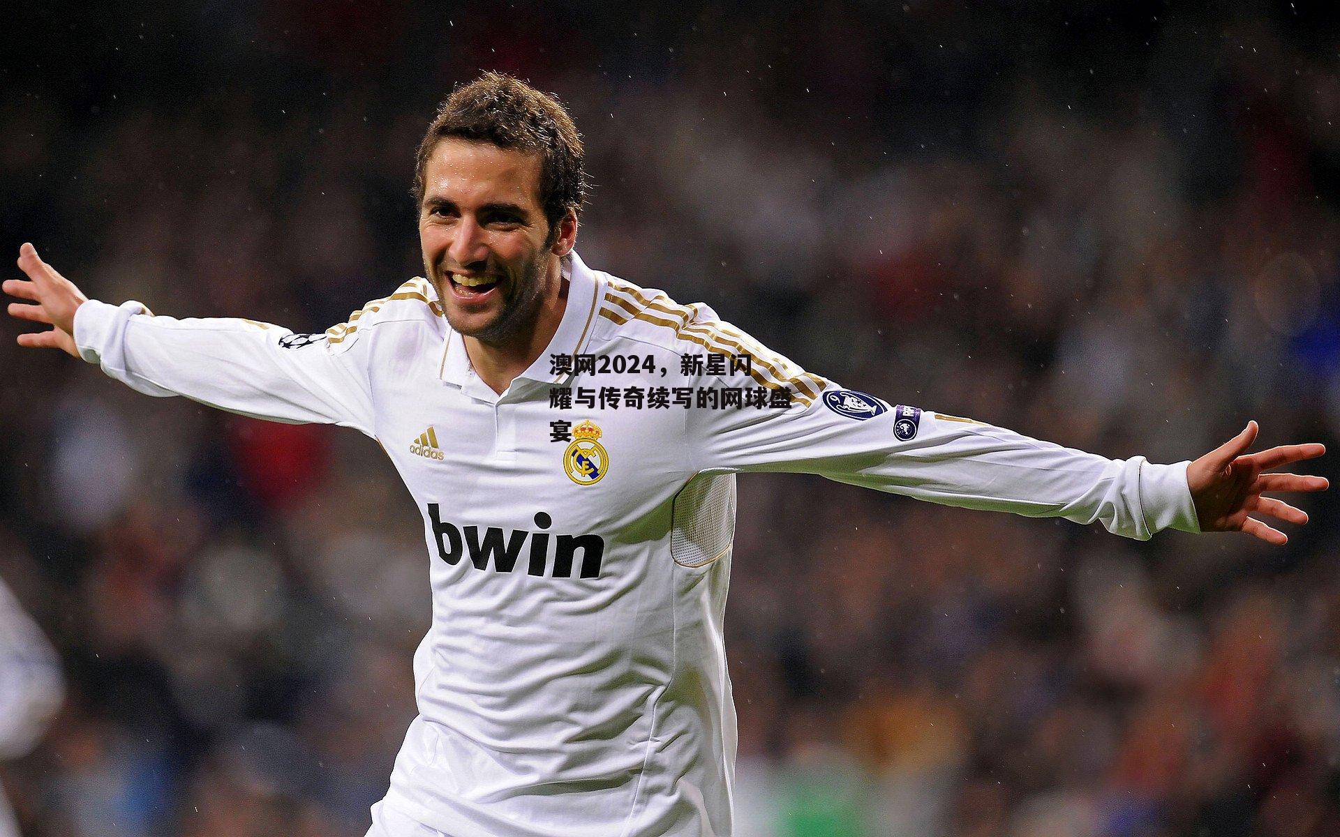 欧亿体育官网：澳网2024，新星闪耀与传奇续写的网球盛宴